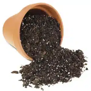 Potting Mixture For Plants (Specially for Indoor Plants)