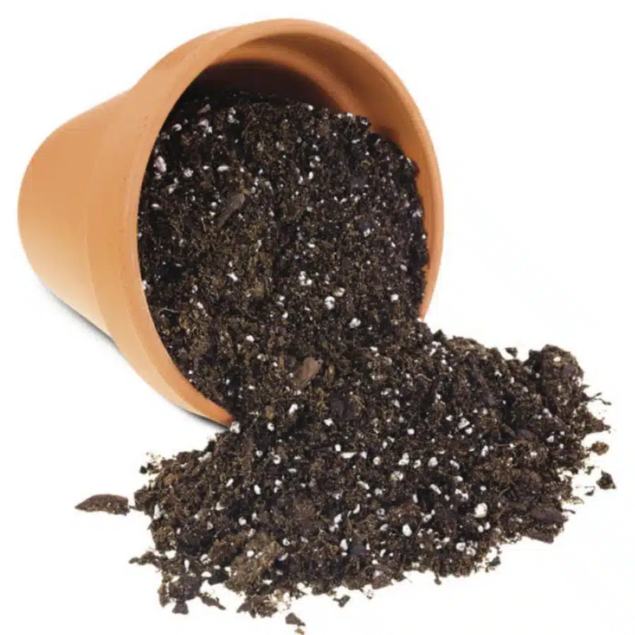 Potting Mix & Fertilizers